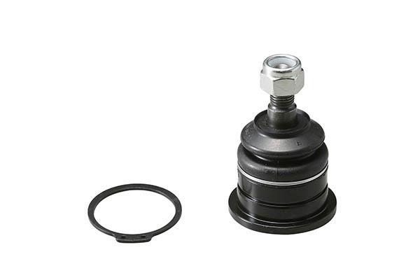 Rotule de suspension (Rotule de pivot) AISIN JBJNI-004